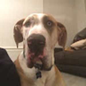 Meet your Posher, Marc